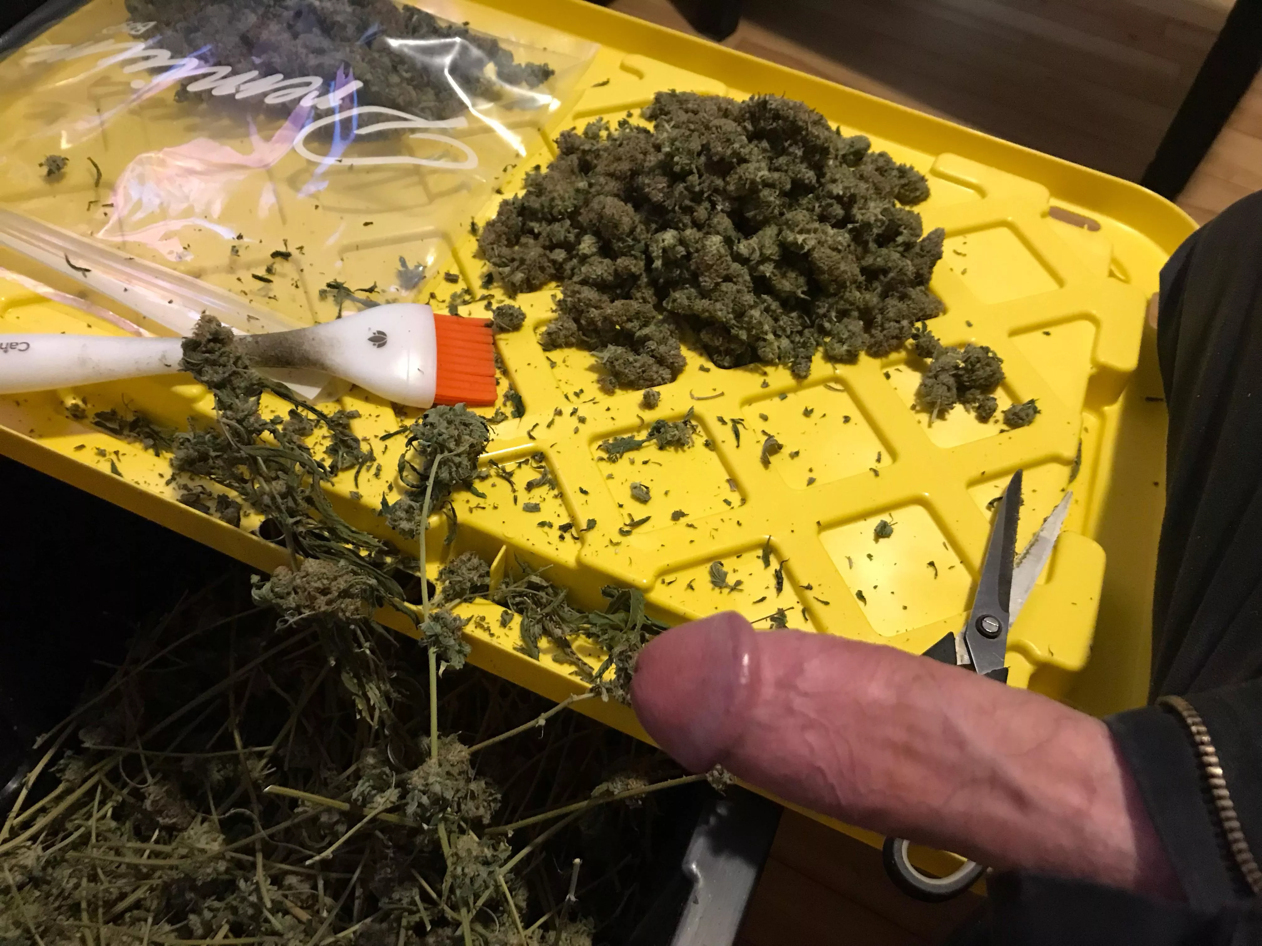 Cum help [M]e trim? posted by JustBoredandStuff