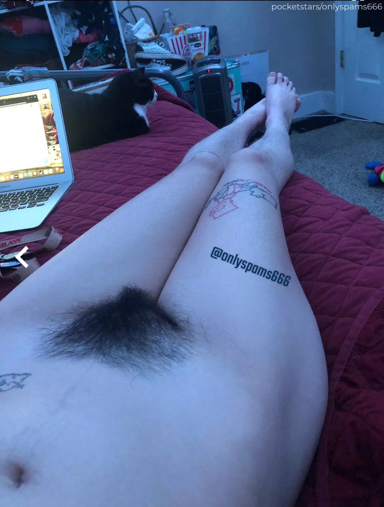 cum lay with me?¿ ^_^ posted by dani_j666