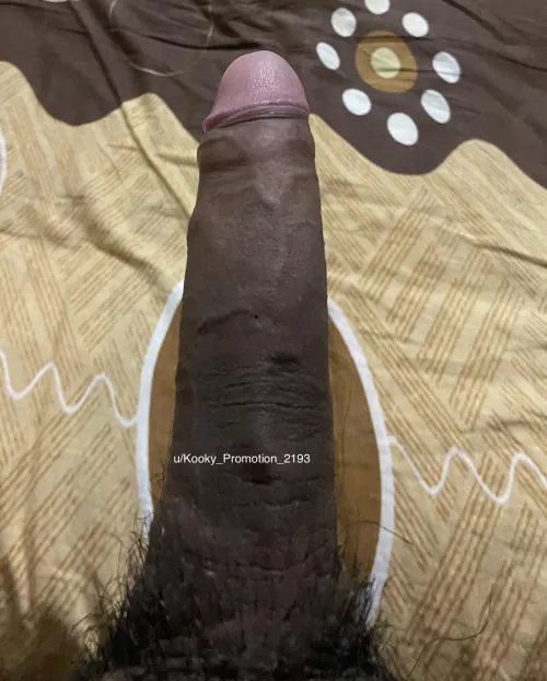 Cum let me breed your raw pussy by Kooky_Promotion_2193