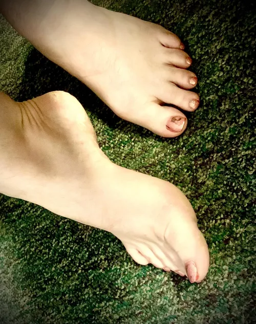 Cum lick them clean by Nikki7321