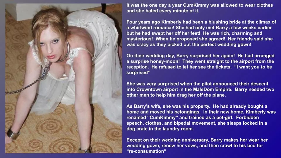 CumKimmy did not receive the traditional 4th Anniversary gift posted by LordOseleon