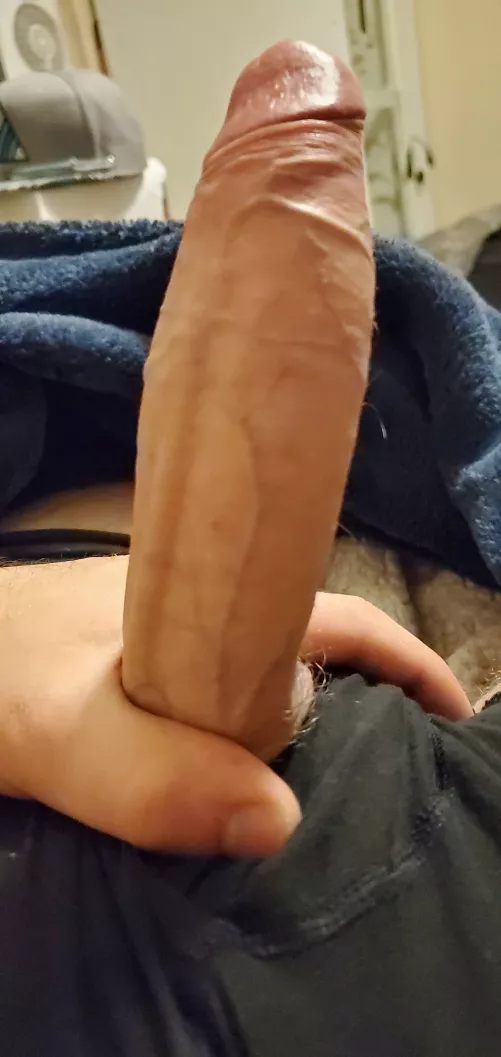 curious on opinions 😅 by Boring-Stay725