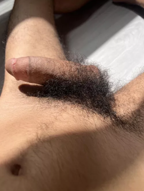 Curly pubes 😉 by bushyyguy