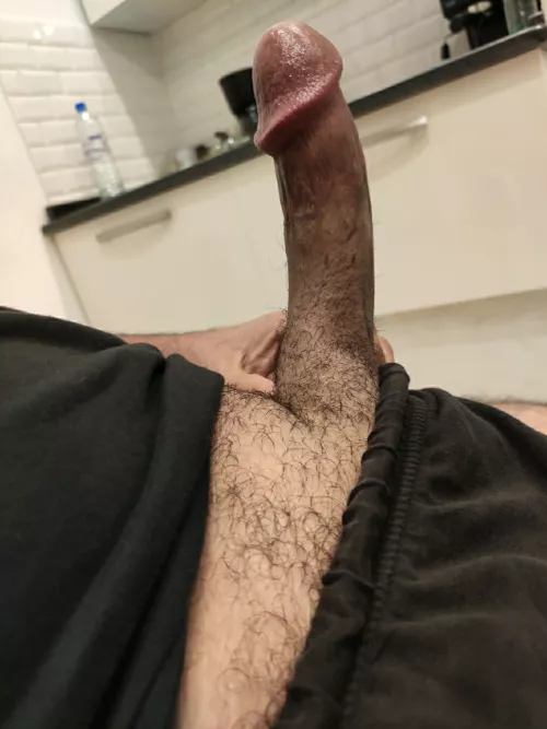 Cut Massive and Ready For Service by IOwnYourShivers