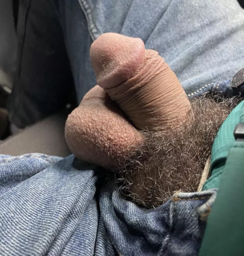 Cut softie. posted by williamwinter69