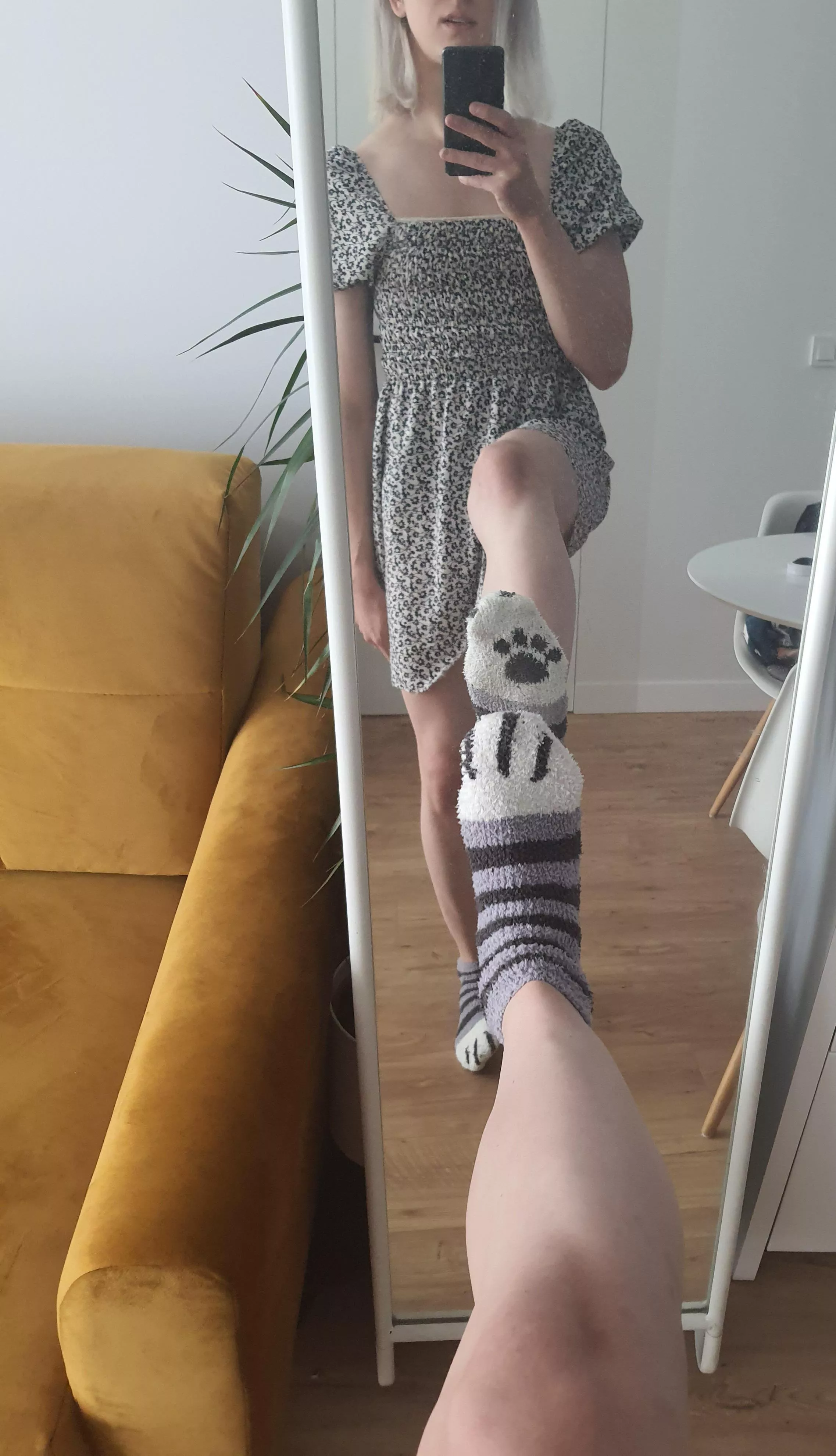 cute ? posted by The_Kitty_shark