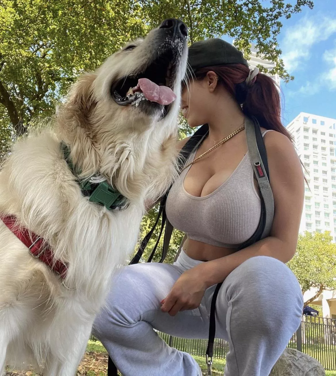 Cute dog!!😍 posted by tittymonster88