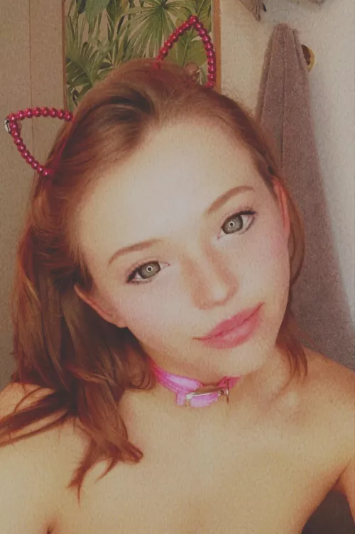 Cute Kitten by cupcakesprinkles98