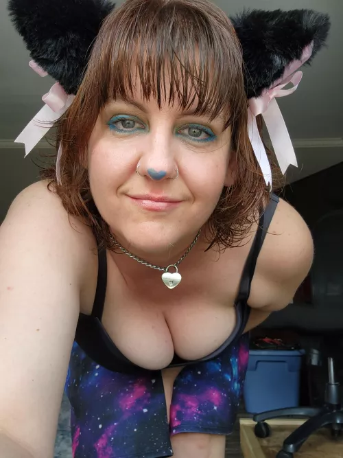 Cute kitten day by princesskittypet