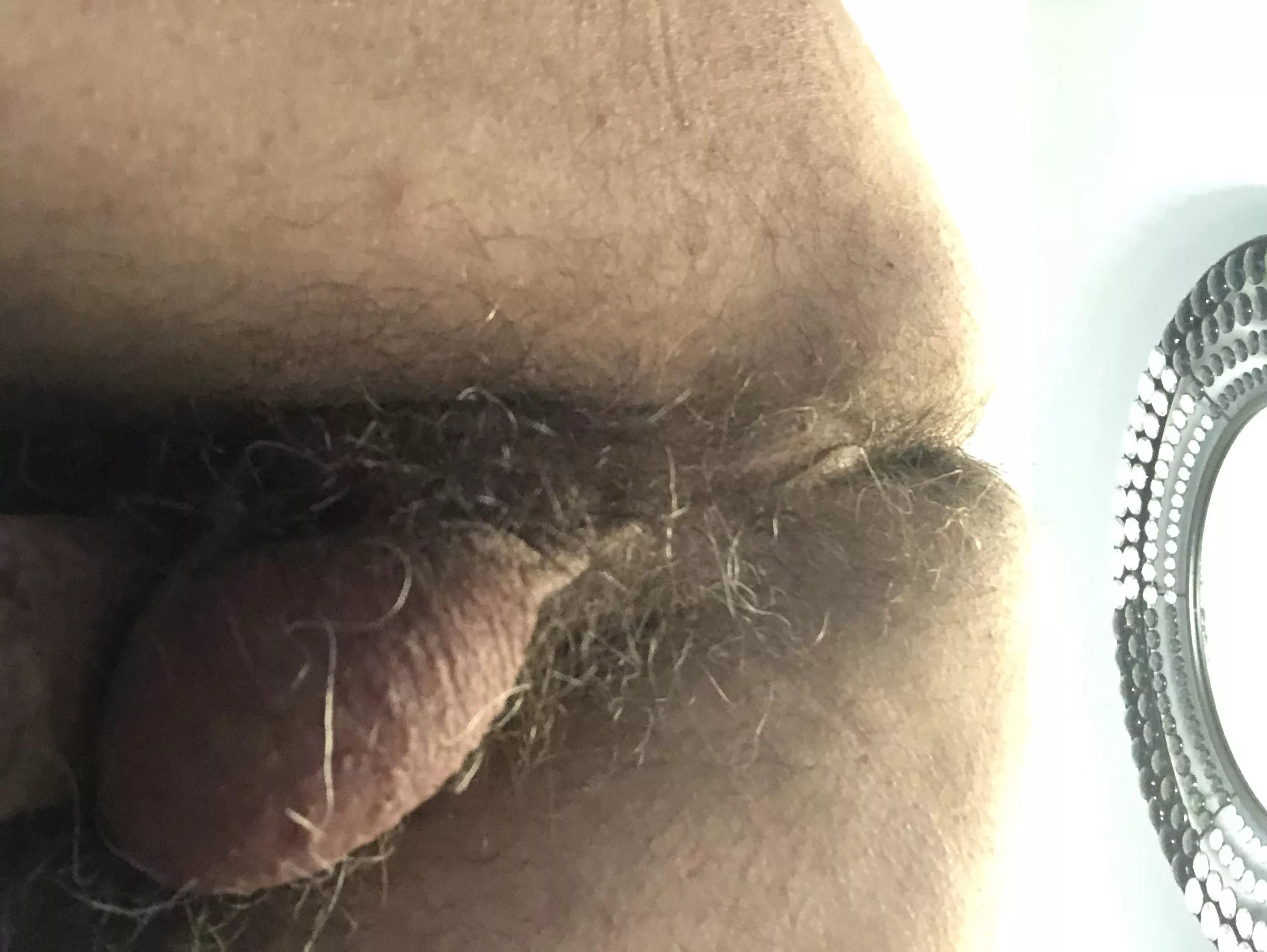 Dad with a hairy ass thinking about getting rammed by someone smooth. posted by Fiso150