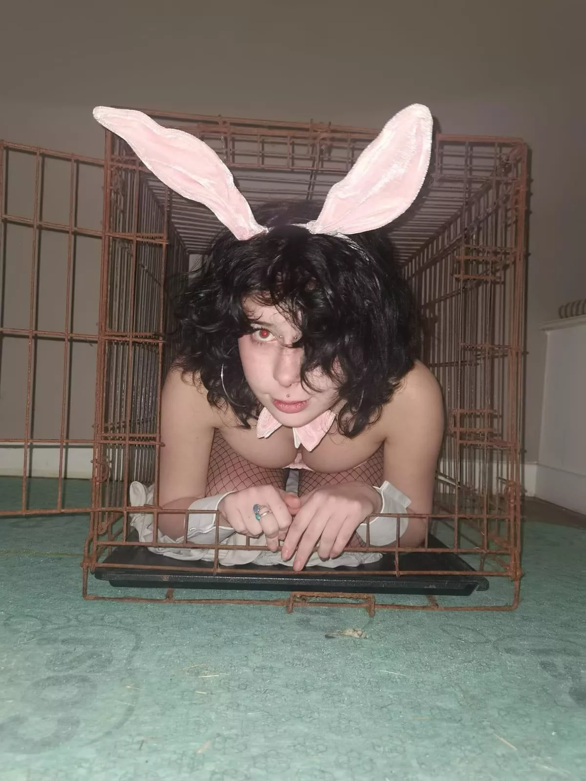 daddy bought me a new cage! x posted by am3thec0keho3