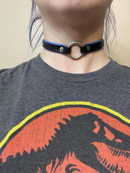 Daddy bought me a new collar :) Do you like the blue? [f] by Equilizbrium