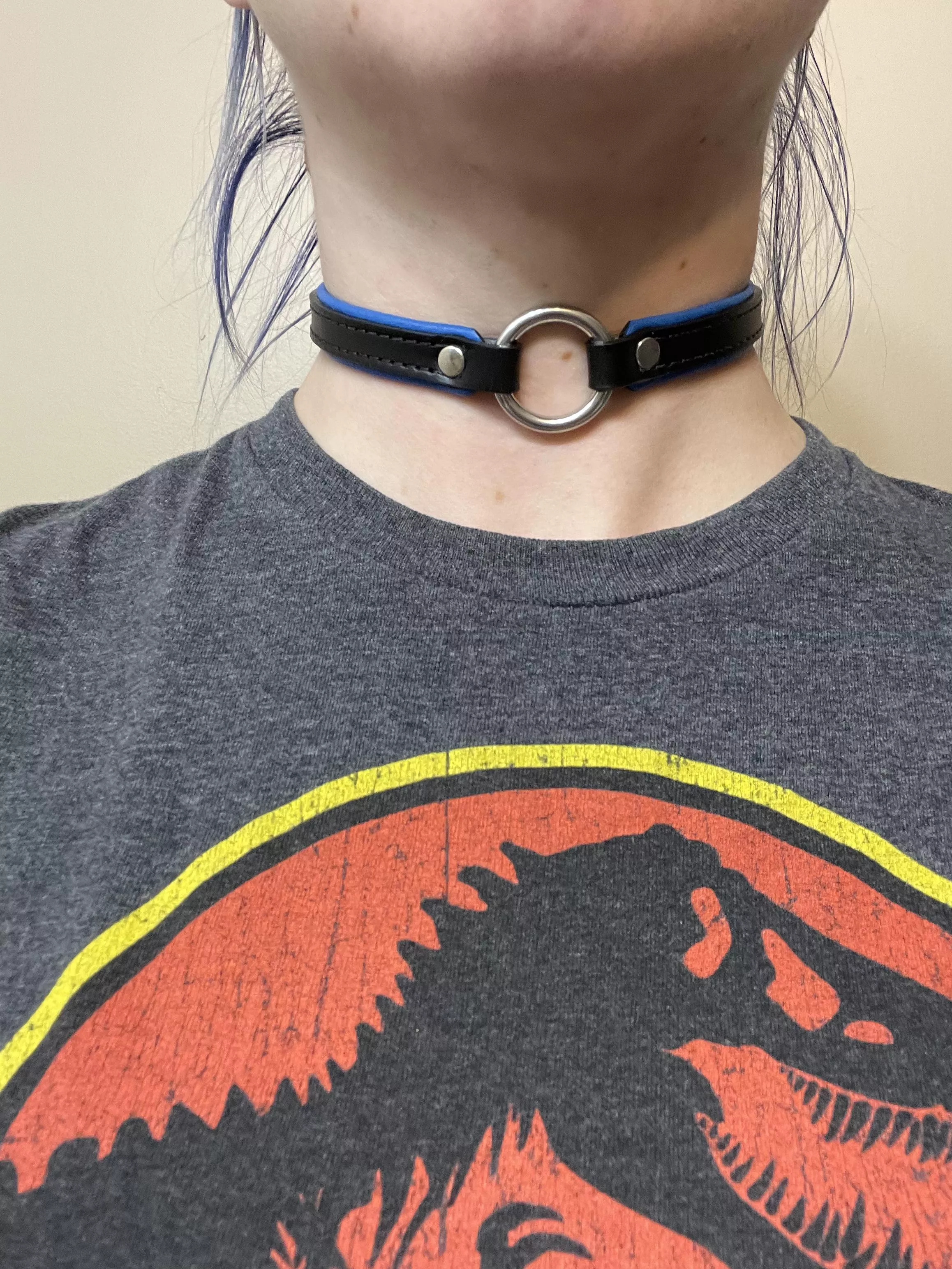 Daddy bought me a new collar :) Do you like the blue? [f] posted by Equilizbrium