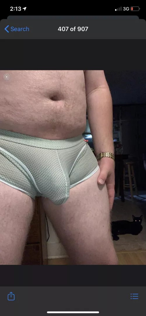 Daddy dick by Dadbod121698