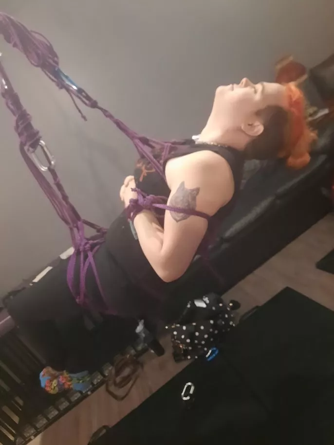 Daddy put me in the most comfortable suspension. I could have laid here forever. posted by ZoeeeW