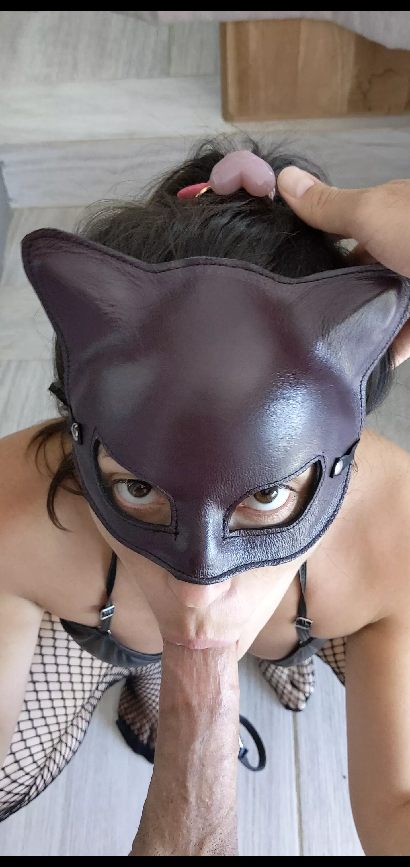 Daddy's cat getting feed posted by barbadosw3