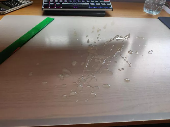 Daily shot by Imnotjavi24