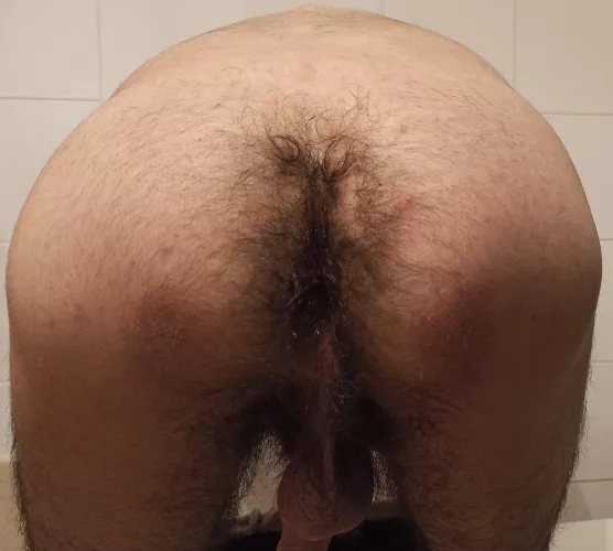 Damn my ass is so hairy. Wish had you here to help. by CanIPotMyBalls