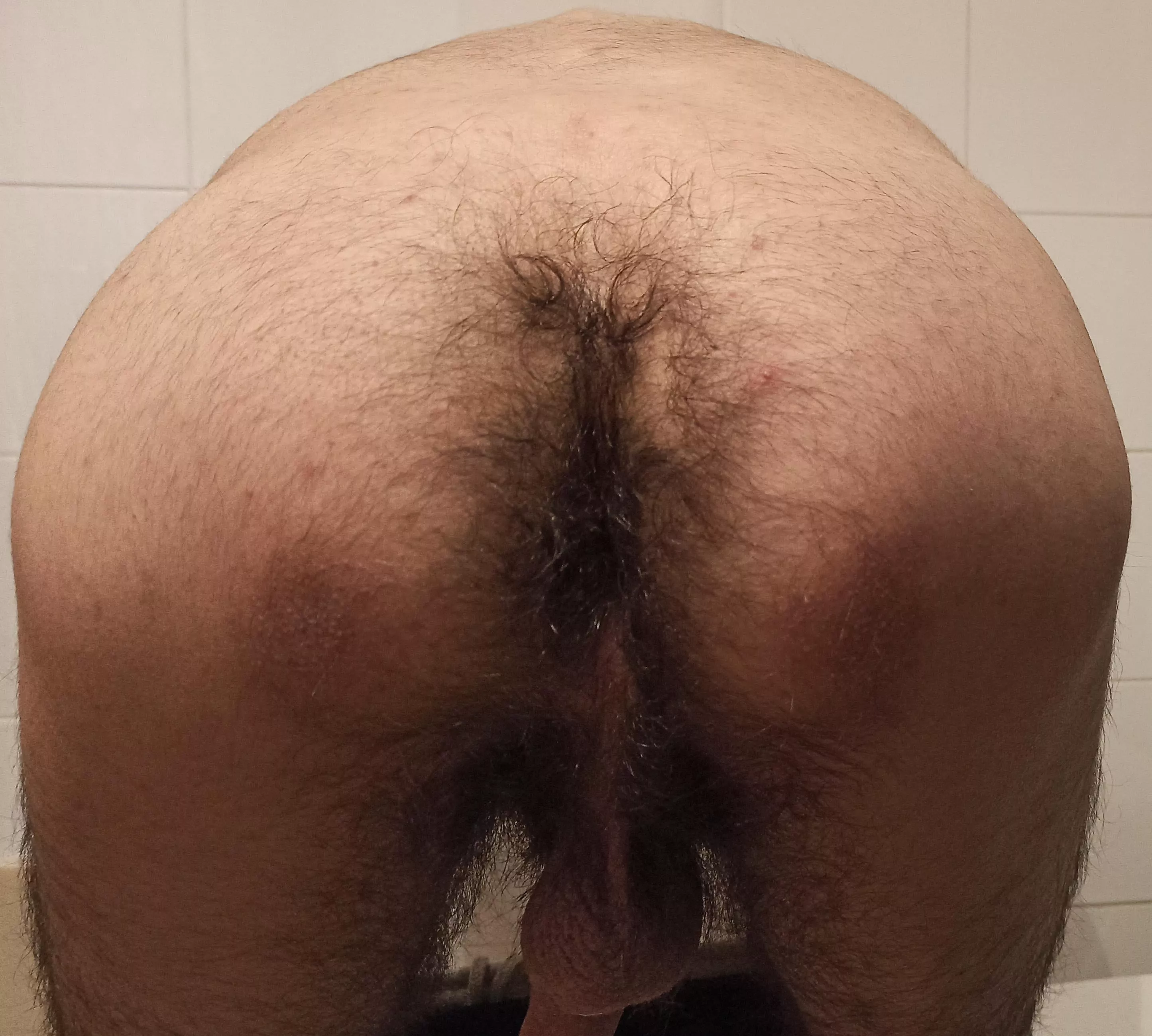 Damn my ass is so hairy. Wish had you here to help. posted by CanIPotMyBalls