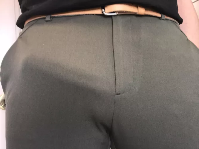 Danish bull by meremand