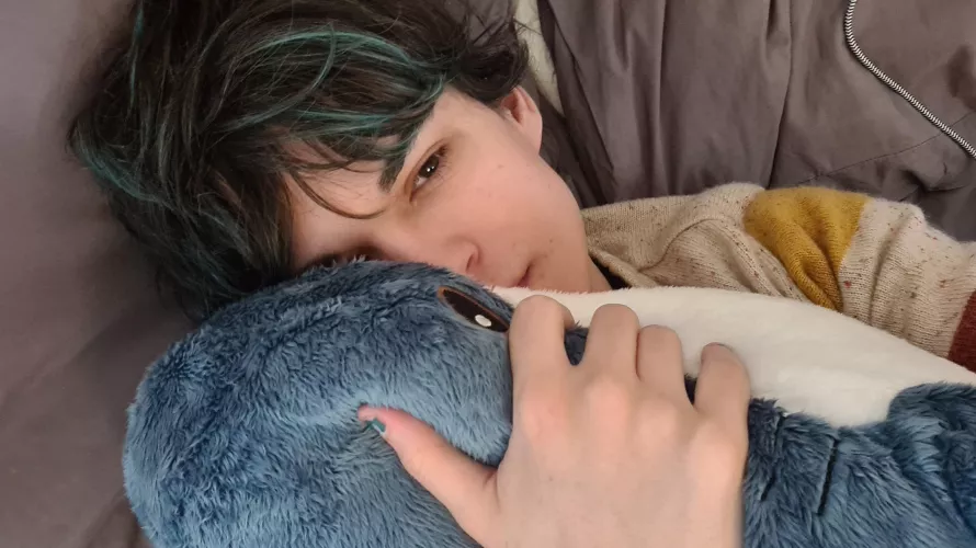 dark souls noise: BLAHAJ ACQUIRED by autumnfallonline