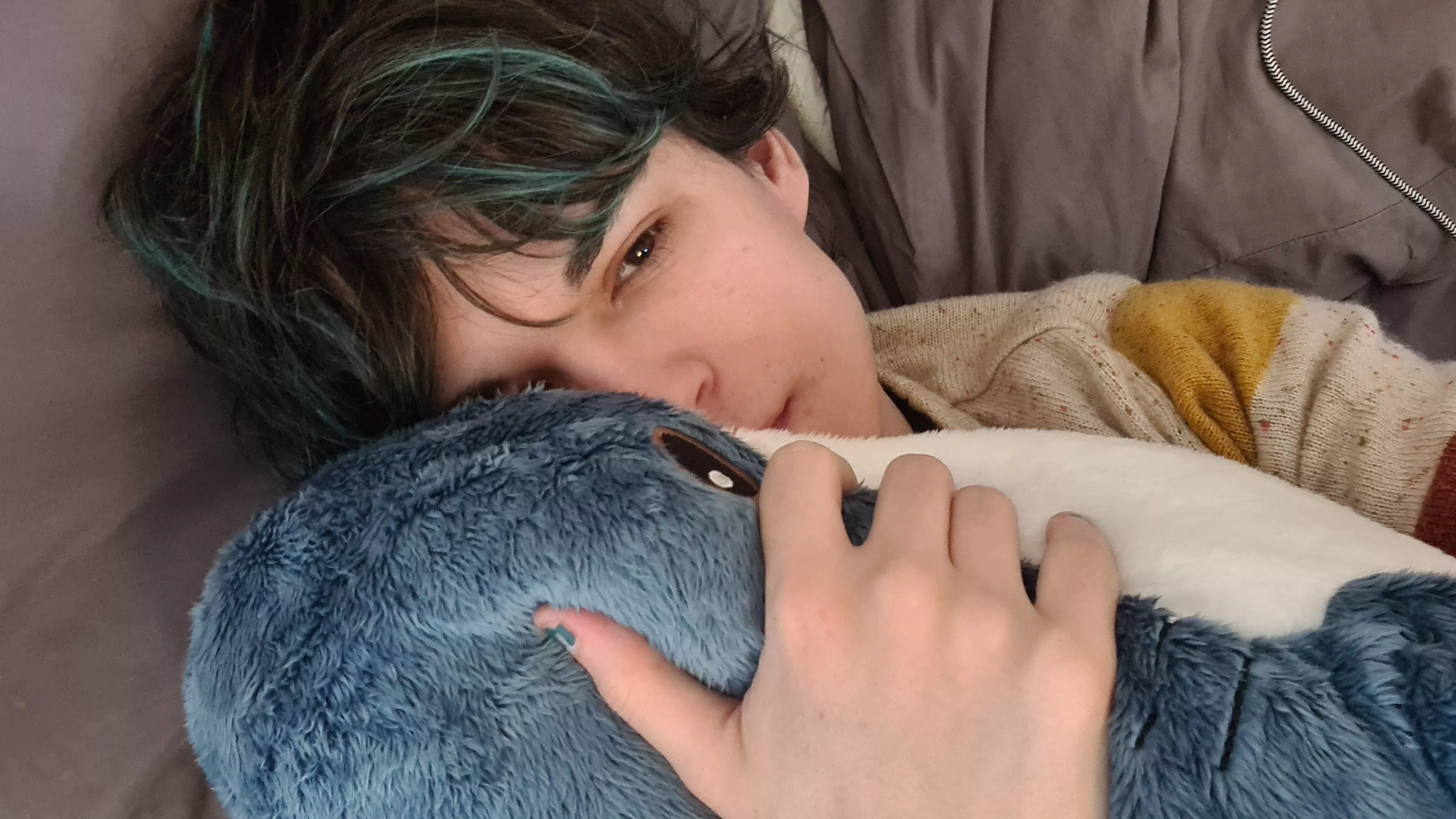 dark souls noise: BLAHAJ ACQUIRED posted by autumnfallonline