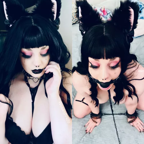 Date or fuck? [f] by Wesandveronica420