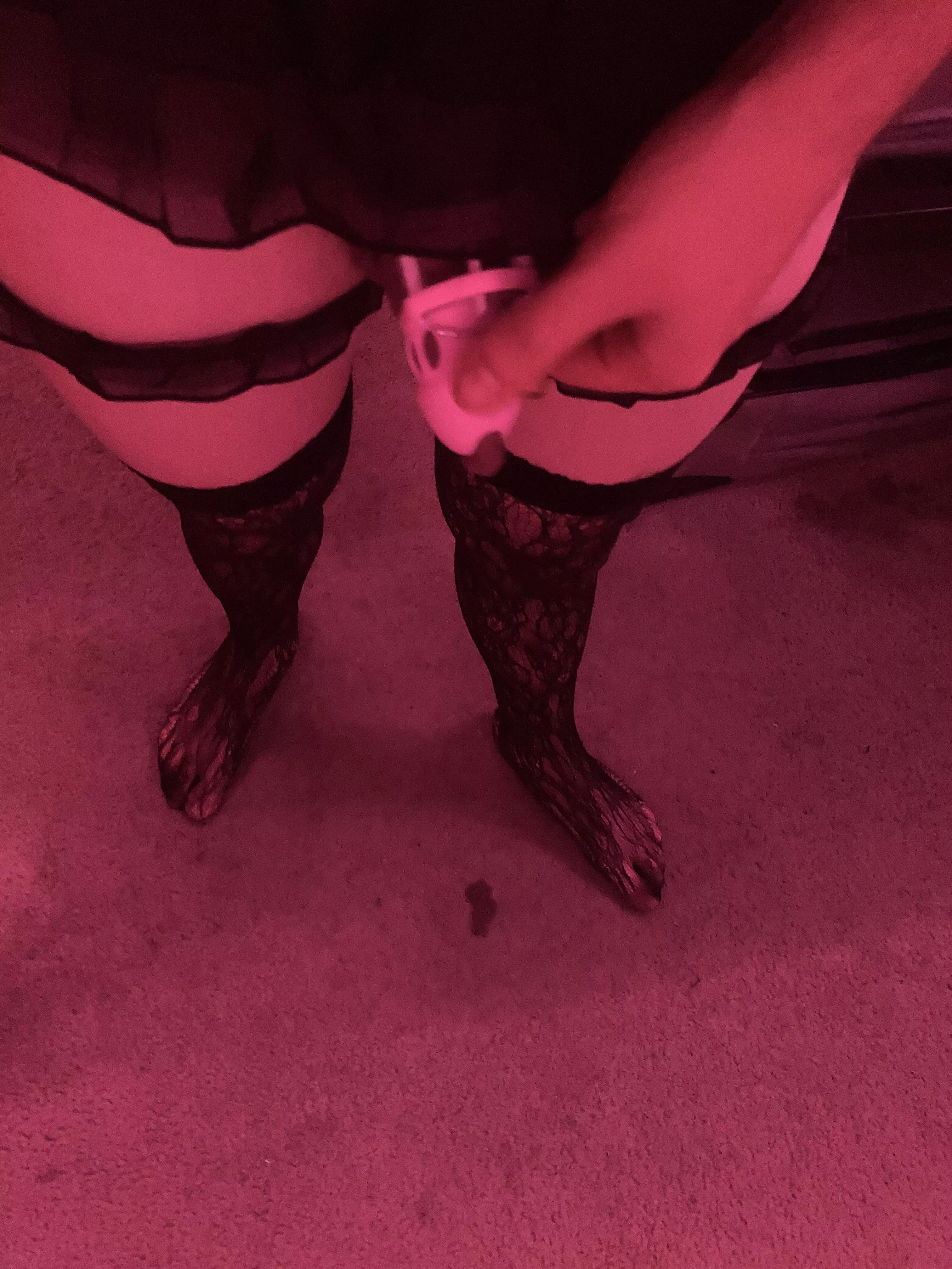 day 2 of chastity. falling in love with the frustration posted by Jumboo_Shrimpp