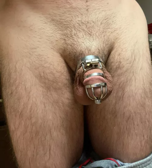 Day 2… by Gold_Opportunity_809