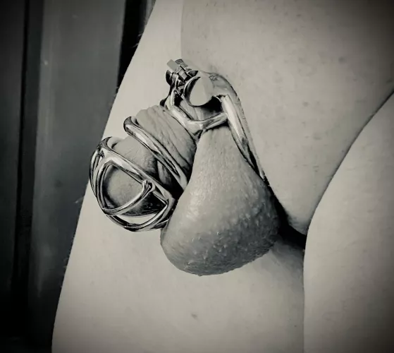 Day 30 💦 free. Thinking of adding a metal nub or flat to my collection 🤔 by boda1330