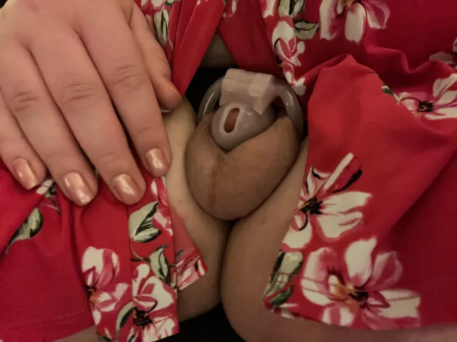 Day 7! Next stop, 1 month! Beginning to think I’ll never unlock. by SophTheSis