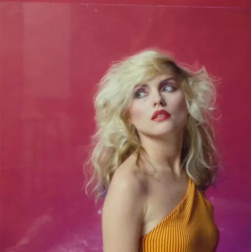 Debbie Harry, 70s. I bet so many boys jerked off to posters of her. Thoughts? by PowerInspector