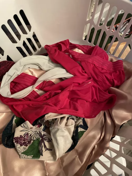 Decisions, decisions… by Ok_Yak_3627