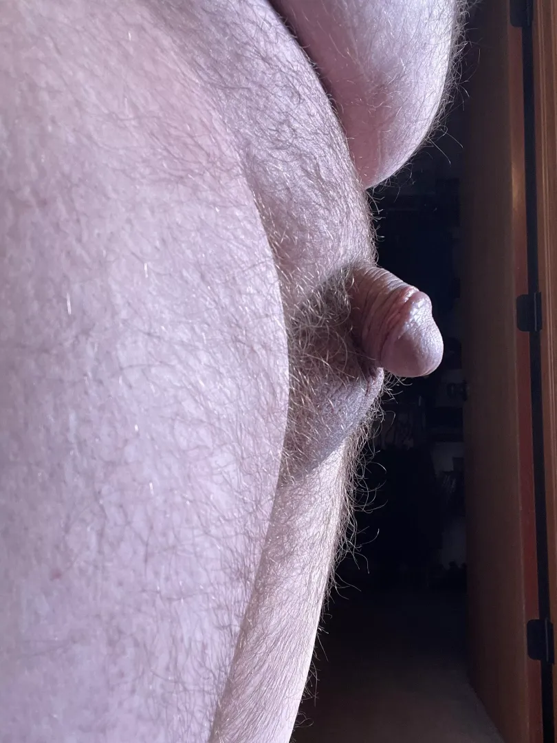 Definitely a grower. [44] posted by thewanderer405