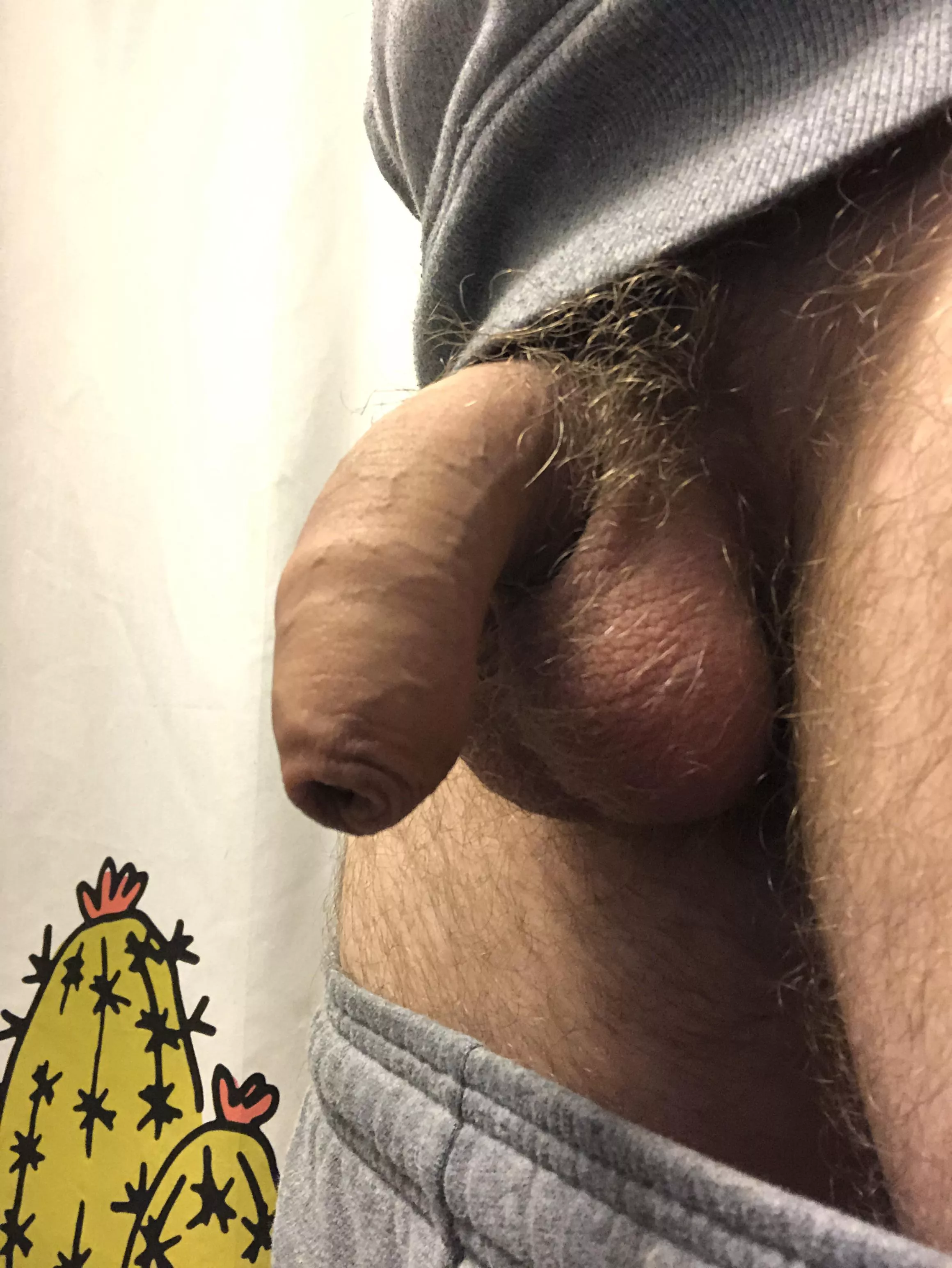 Definitely a grower! posted by stlstag69
