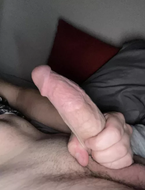 Definitely hmu 19yo cock by SnooSprouts4507