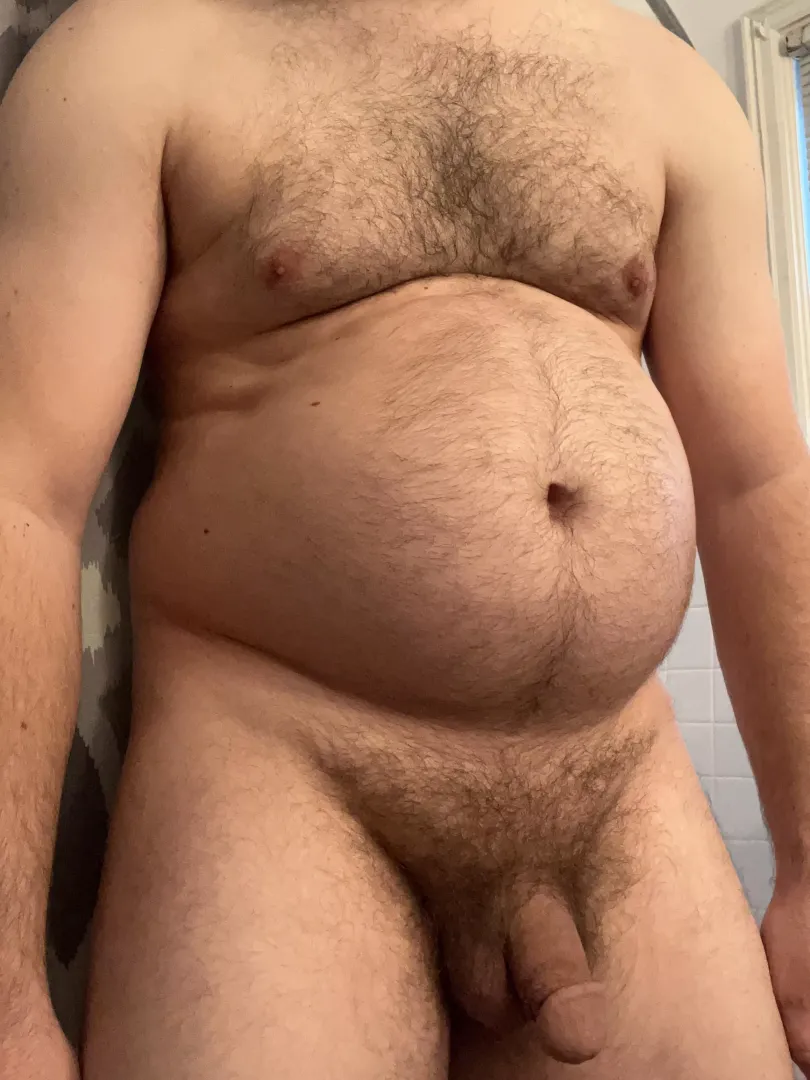 Definition of dad bod by hco0709
