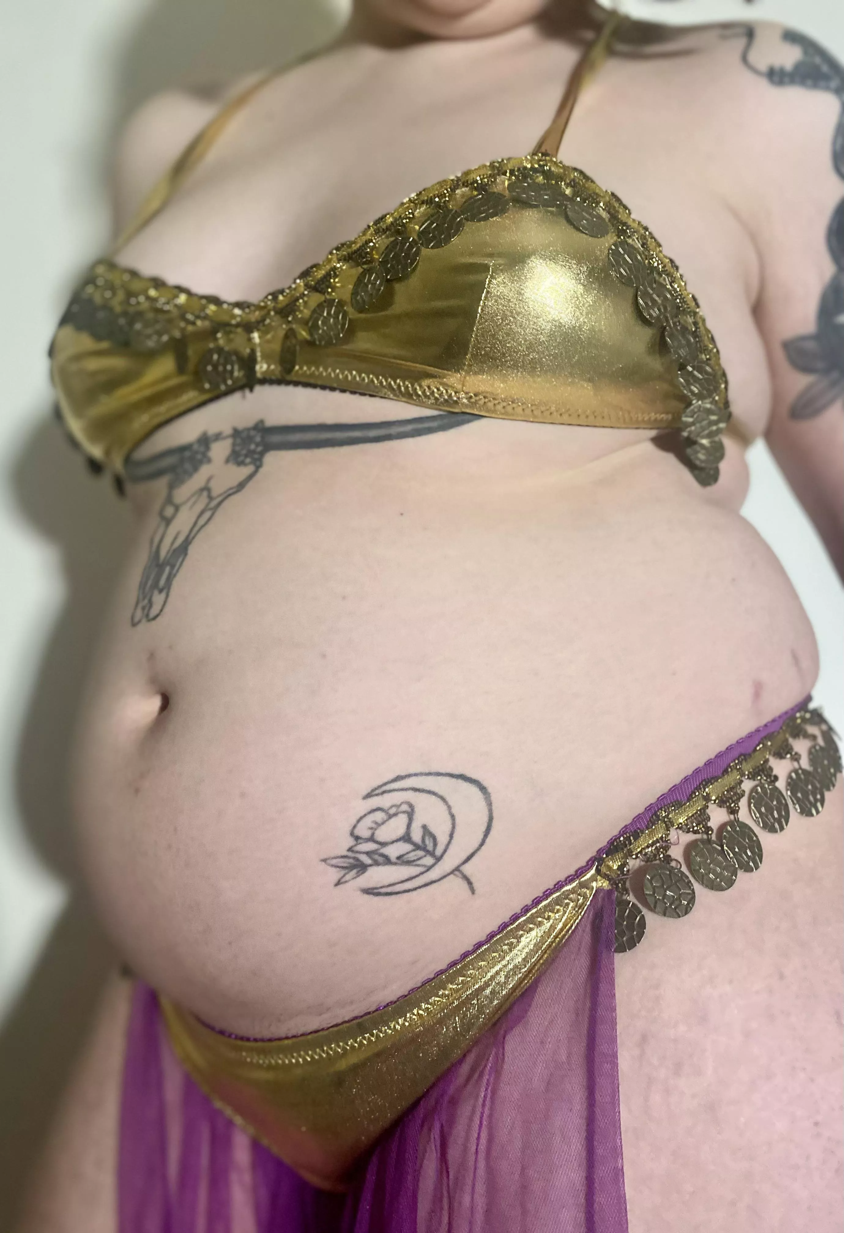 Did somebody order a chubby belly dancer? posted by HeftyDoggy