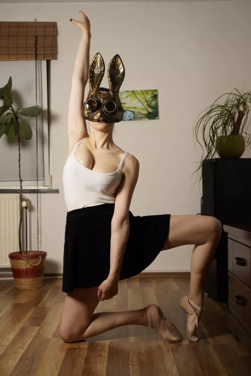 Did you ever lick the armpit of a Ballerina ? by FollowTheMaskedBunny