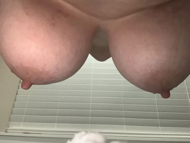 Different perspective by BG235