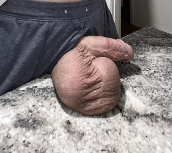 Dinner is served by Sudden-Performer9942