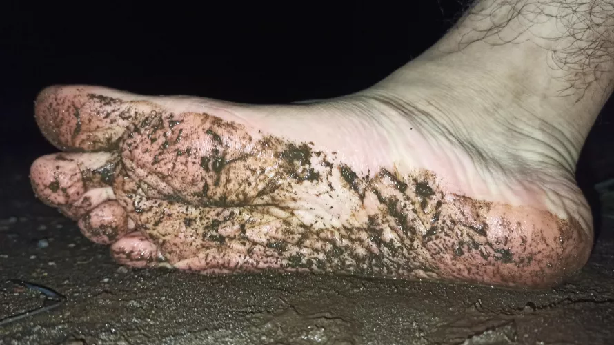 Dirty or clean? by ExerciseMysterious99