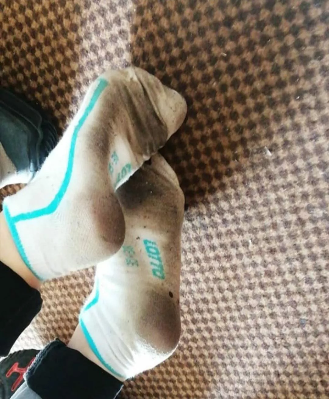 dirty socks posted by Kfi17378