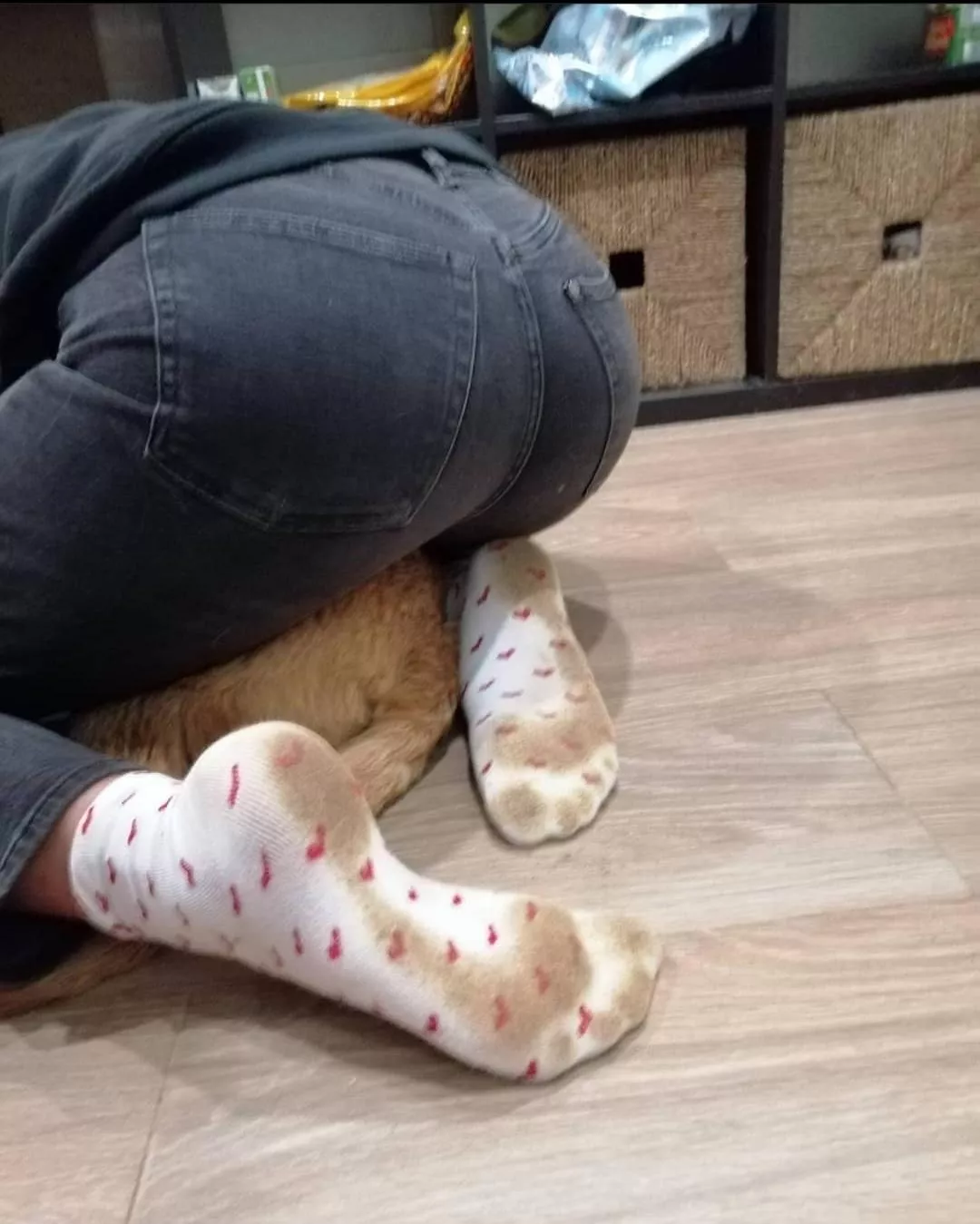 dirty socks posted by Kfi17378