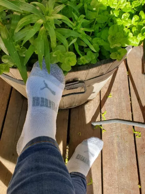 Ditching my sneakers for a midday break outside 🌞 by only_feetpc2022