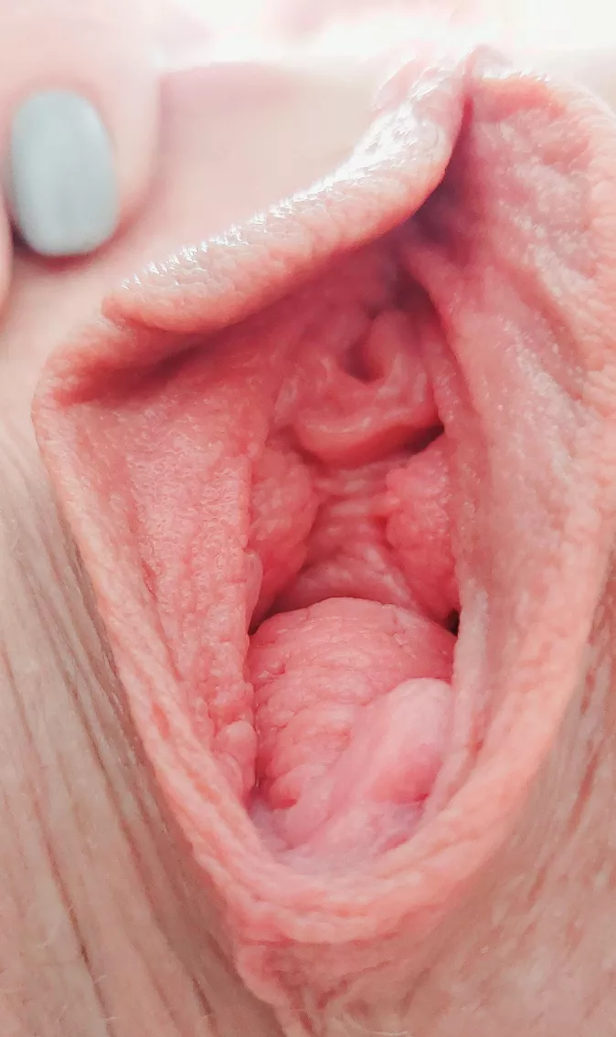 Dive in posted by Consistent-Dog-9712