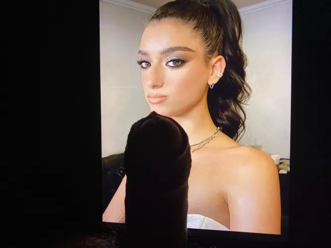 Dixie wants another load 👀 by AdhesivenessLow