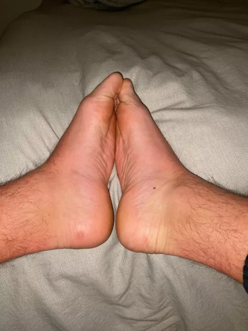 Dm for a lick by Specialist-Front2450