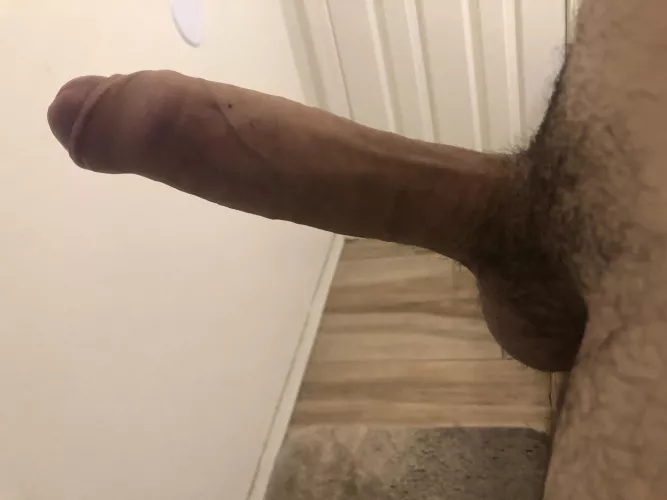 Dm for fun maybe by TonightImpressive363