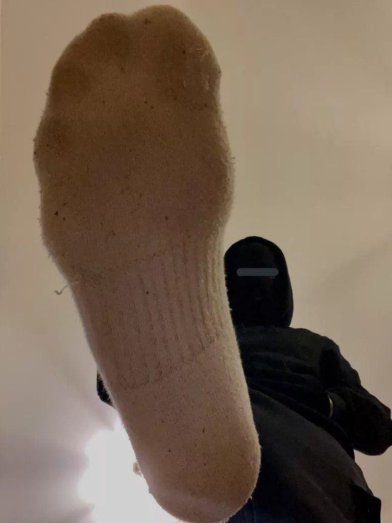 DM me posted by FindomKing6